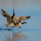 Takeoff