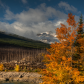 Medicine Lake fall 2