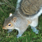 Check Out My Tail