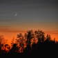 The new moon in the twilight