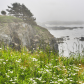 On the Cliffs of Saint Mary's