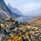 Fall colors of Yukon