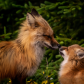 Mother and Child Reunion