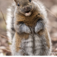 Nuts About You
