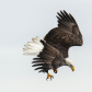 Aerial Strike