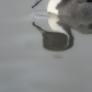 Pintail Reflected