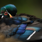 Wood Duck Colours