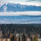 Elk Country