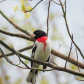Spring is in the air
