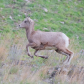 On the Move!