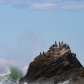 Cormorant Rock