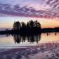 Loons at Sunrise
