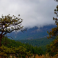 Wild Places