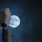 Snowy Owl in the Moonlight