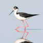 Stilt Symmetry