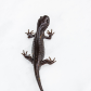 Salamander in the Snow