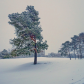 pine tree