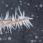 Hoar Frost on Fallen Pine Needles