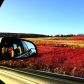 Natural red fields in Canada countryside