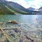 Consolation Lake- Fallen Trees