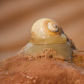 Beach treasure