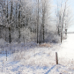 Frosty Winter Countryside