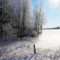 Frosty Winter Countryside I