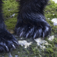 Bear Claws