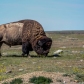 Grasslands National Park