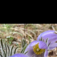 Spring has Sprung