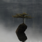 Lonely Tree and Duck