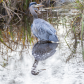 Heron Reflections