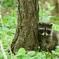 Hide and Seek 