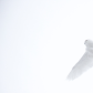Snowy owl in the snow