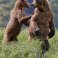 I Have Your Back 